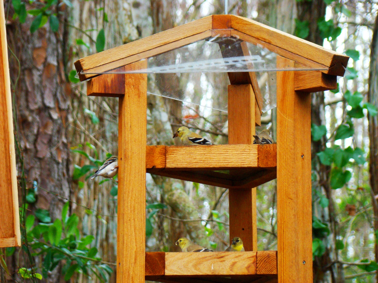 Large bird feeders fly through style cedar wood bird feeders
