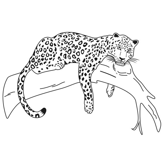 Leopard Wild Cat Graphics SVG Dxf EPS Png Cdr Ai Pdf Vector