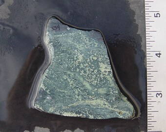 Kambaba Jasper Lapidary Slab T334
