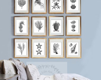 Summer Beach Home Decor, Sea Coral Decor Beach Art Decor Set of 12 Prints, Coastal wall art, Beach themed Housewarming gift