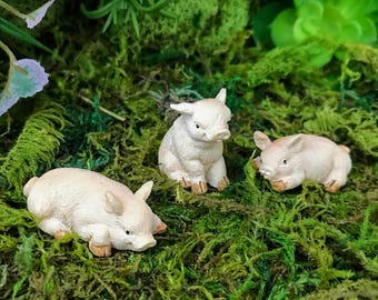 Miniature Baby Pigs/Piglets - Set of 3