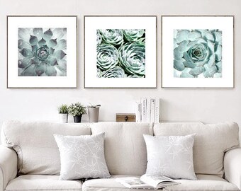 Succulent Print, Set Of 3 Prints, Succulent Print Set, Botanical Prints, Botanical Wall Art Prints, Nature Art, Digital Prints Download