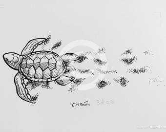 Turtle with Trail Limited Edition Print