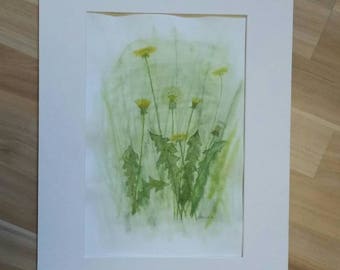 Meadow with dandelion Original Watercolor