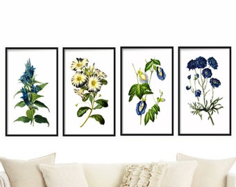 Botanical Print Set of 4 - Botanical Illustration - Botanical Art Print - Art Prints Canvas Art Multiple Size Available - Botanical Poster