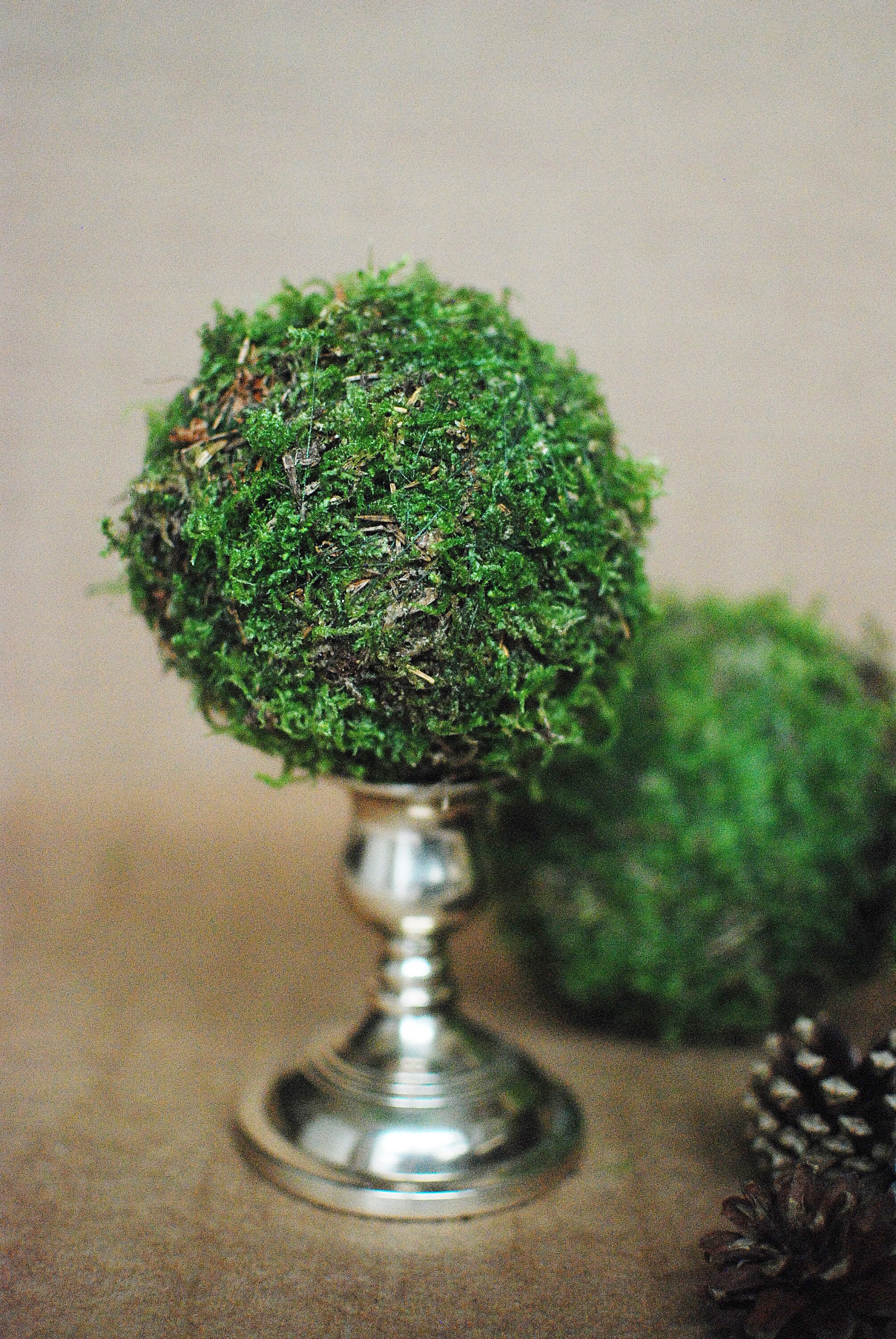 Decorative balls for bowls Rustic Moss balls set of 6