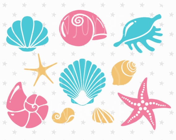 Download Sea shells svg file Sea shells svg Sea Life svg Starfish svg