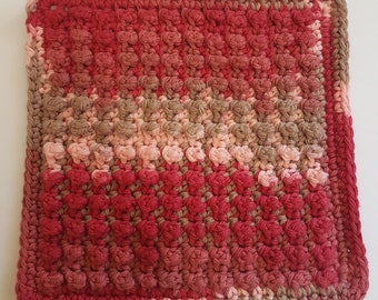 Cinnamon Apple Cottage Dish Cloths