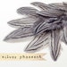 12 pcs - Silver Pheasant Feathers - Grey - select grade, zebra, stripes, exotic feathers