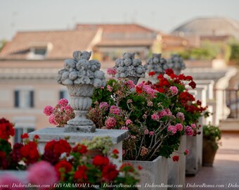 Geraniums in terrace - Art print