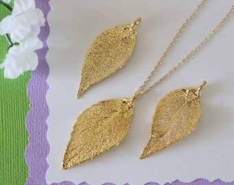Gold Evergreen Leaf Necklace, Real Leaf Necklace, Evergreen Leaf, Gold Leaf Necklace, Long Leaf, Leaf Pendant LC228