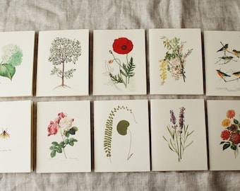 Floral Variety Pack Folded Note Cards with Envelopes | Floral Blank Note Cards | Flower Greeting Cards Handmade | Spring Greeting Cards