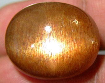 34.72 cts Natural Unheated shinny golden glittering 4 Ray Sun Stone star from India