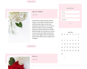 Elegant WordPress, Blog Theme, E-commerce(woocommerce) Theme
