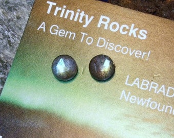 Labradorescence Exists Rose Cuts 6mm Faceted Labradorite Stud Earrings Earings Titanium Post and Clutch Flash Sparkly Magic Hypo-Allergenic