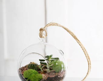 Hanging terrarium glass ball.