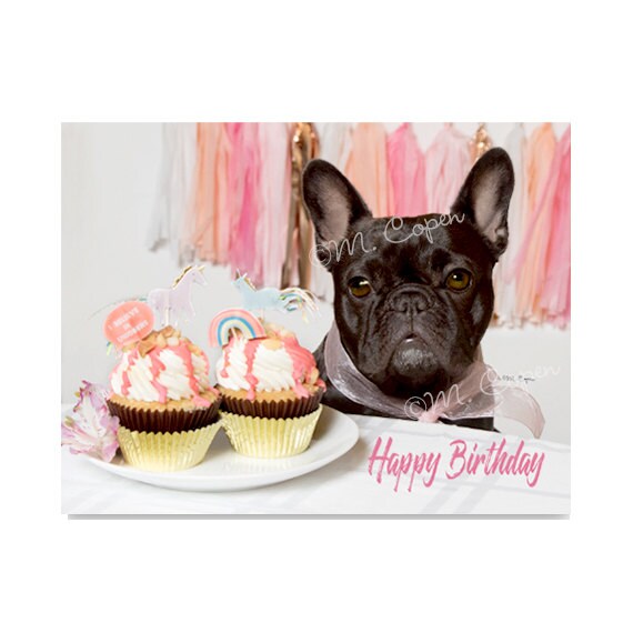 Glücklich Geburtstag französische BulldoggeKarten Set von 4