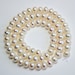 Cultured Pearl Rounded Wheel 8x4.5mm Loose Beads, Natural Gemstone Beads, Semi precious Gemstone Beads, Full Strand, Wholesale Beads, Pearls