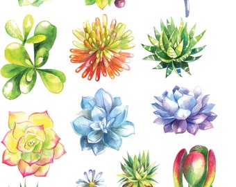 Watercolor Succulents 1 - Cactus - Ceramic Decals- Enamel Decal - Fusible Decal - Glass Fusing Decal ~ Waterslide Decal - 86086