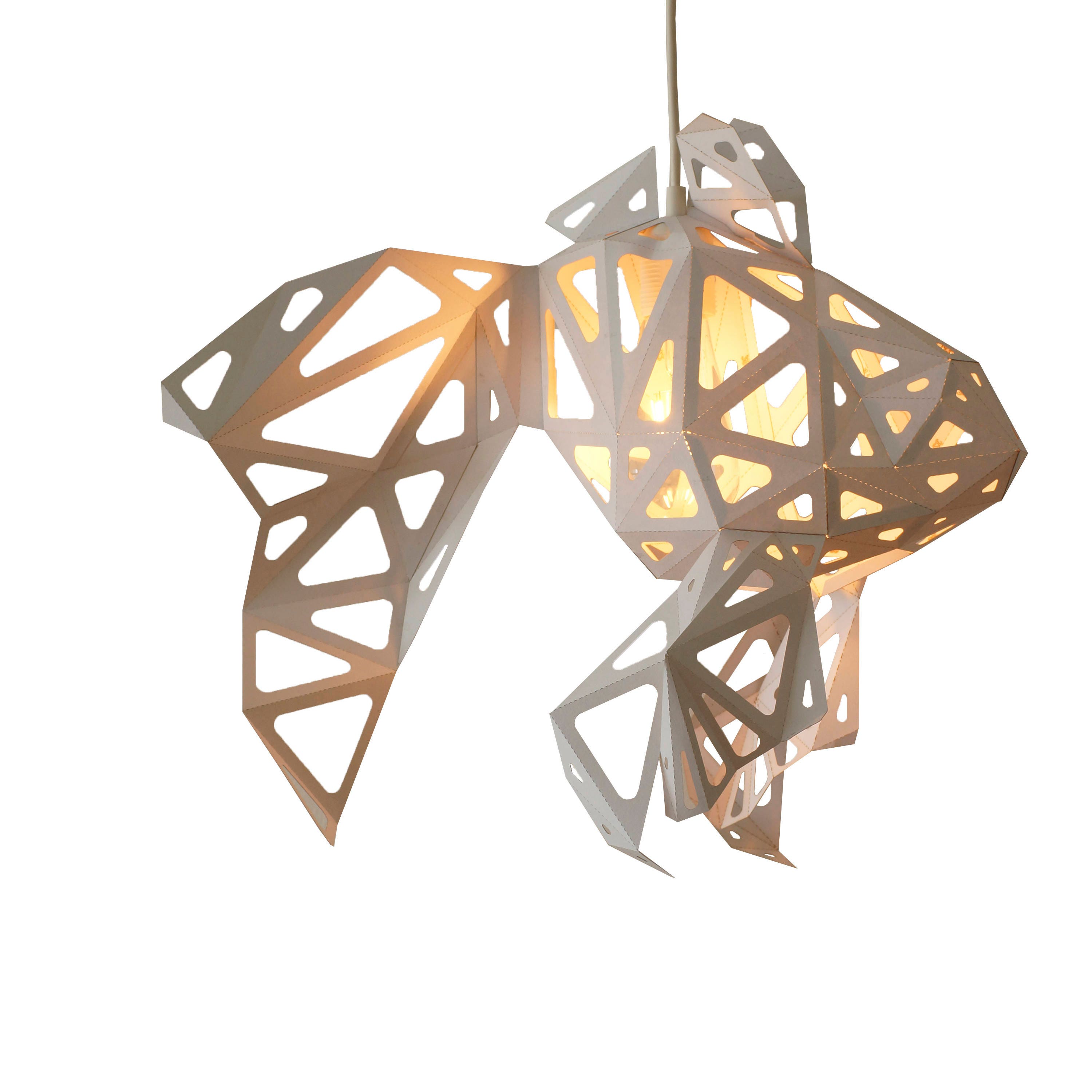 Fish low poly papercraft nature lover gift origami lamp diy for Diy Geometric Lamp
45ifm Fish low poly papercraft nature lover gift origami lamp diy for Diy Geometric Lamp
45ifm