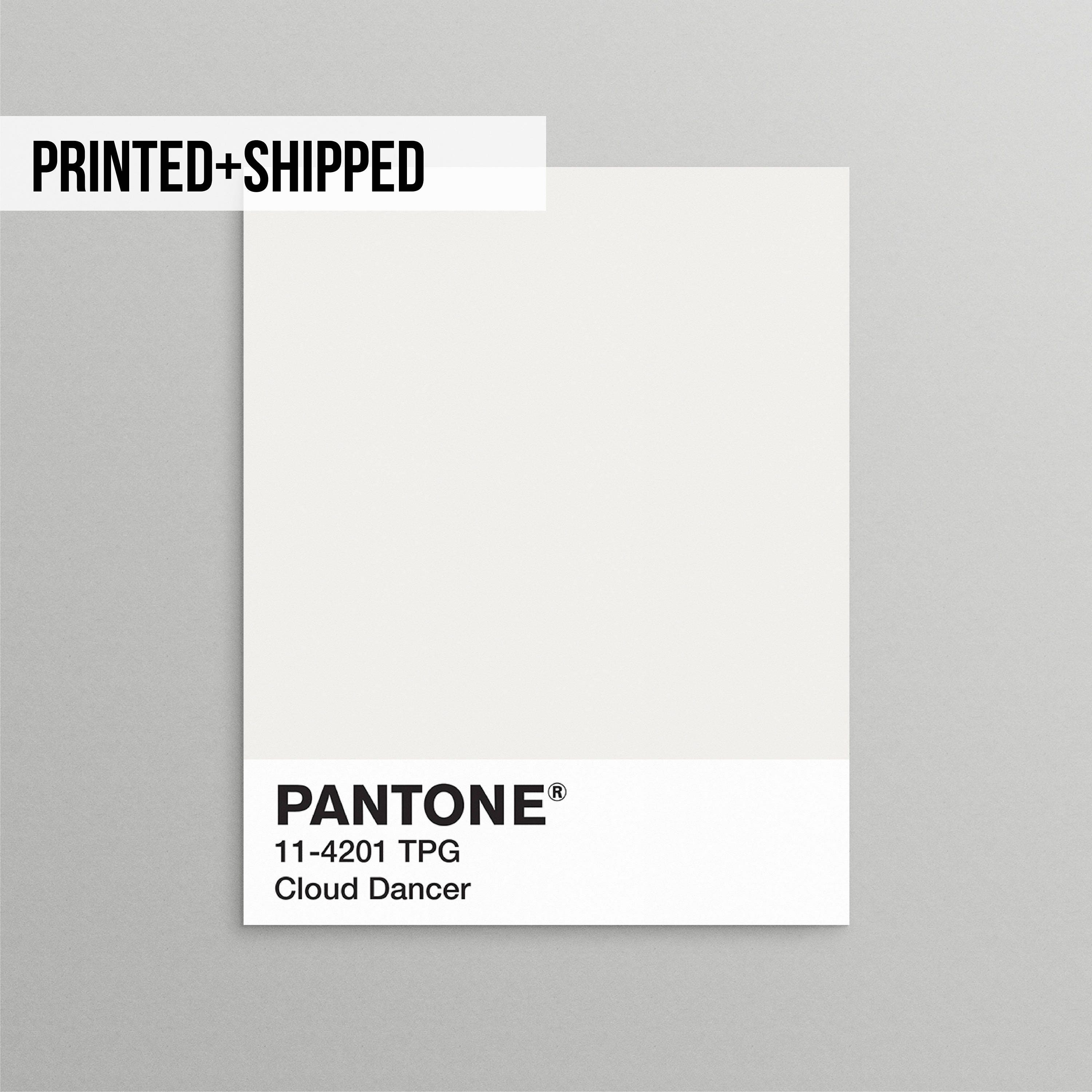 Pantone Print Pantone Grey Pantone Wall Art Pantone