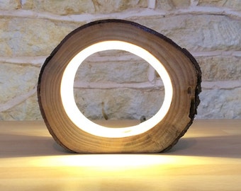 Small LED Log Light Table Lamp Desk Light Real Wooden Log Hollow Unusual Bedside Office Natural Repurposed Upcycled Wood