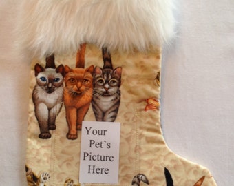 203 Cat Tails Pet Stocking