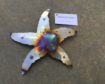 Sea Star Starfish Stainless wall art