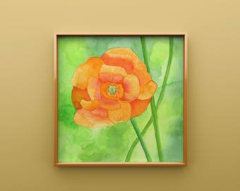 Orange Poppy Print from Original Watercolor