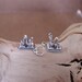 Bookworm Sterling Silver Charm