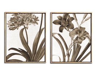 Vintage Botanical Print Set, Sepia Botanical, Downloadable Prints, Botanical Print Set Download, Sepia Prints, Rustic Wall Art, Printables