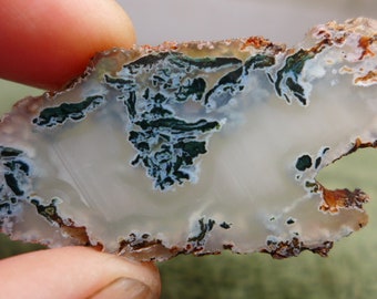 Horse Canyon Agate Preform Cabochon