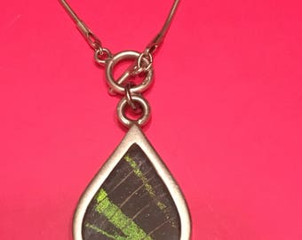 925 Sterling Silver Genuine Butterfly Wing Pendant Necklace Togle Clasp