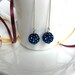 Black Glitter Ball earrings