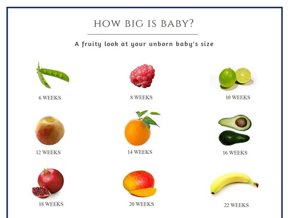 How Big Is Baby Pregnant Fruit Baby Size poster Pdf how-big-is-baby-pregnant-fruit-baby-size-poster-pdf