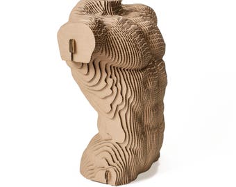 Male torso - cardboard sculpture
