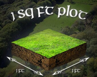 1 sq ft Plot of Irish Land