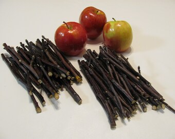 60 Apple Wood Sticks / Twigs Chews for Small Pets, Rabbits, Guinea Pigs, Chinchillas, Rats, Mice, Pet Dental Care, Craft Sticks & Twigs