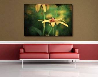 Yellow Flower Photograph, Yellow & Green Floral Horizontal Wall Art, Fine Art Nature Photography, Botanical Photo Print, Rustic Photo Pr