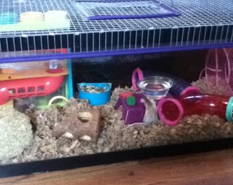 Aquarium Cage Tank Top - Top Door 10 Gal, 15 Gal, 20 Gal gerbil rat hamster degu Reptile Snake Turtle