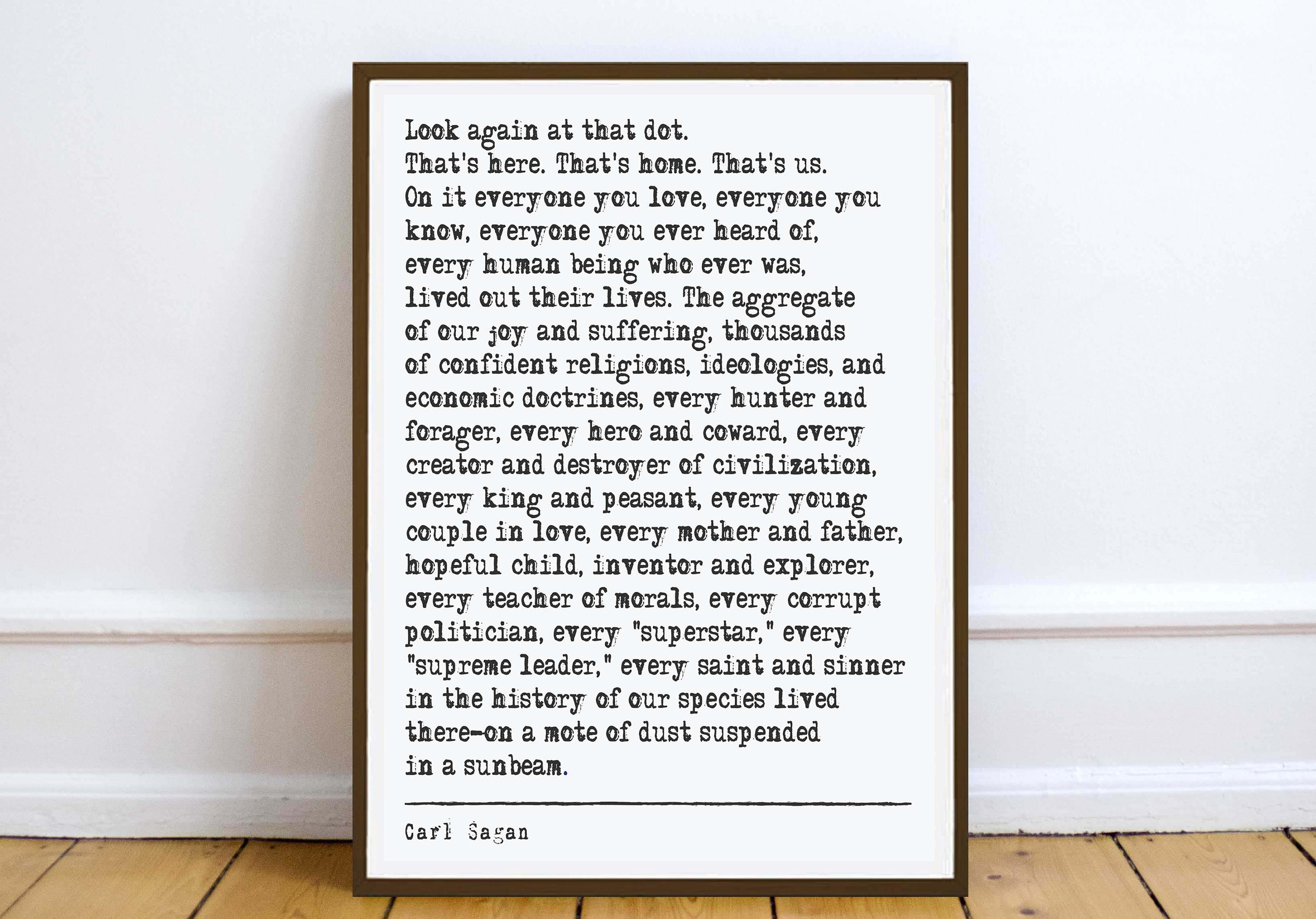 Carl Sagan Quote Pale Blue Dot art print poster literary