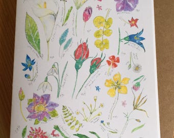 Floral Watercolor Blank Note Card - Wildflower Boxed Blank Cards - Sketchbook Page Watercolor Flower Note Cards - Box of 6