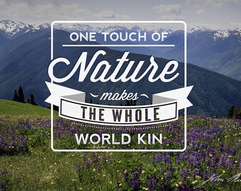 John Muir - One Touch of Nature (Art Prints available in multiple sizes)