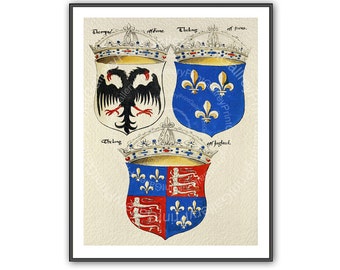 Heraldic Coat of Arms Prints Shields Renaissance European Heraldry Medieval Crowns Crest Wall Art Man Cave Art Decor Antique Maritime ap 165
