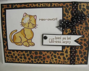 Friend or relative having cataract surgery? This funny get well card with it's play on words and cute kitty cat will cheer them up