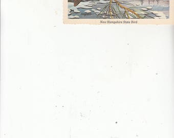 1960s Artist Ken Haag Postcard New Hampshire State Bird Purple Finch Unused