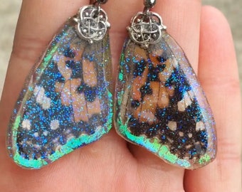 REAL Painted Lady Butterfly Earrings