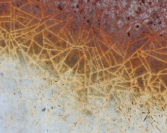 Abstract Art / Abstract Canvas Art / Abstract Photography / Abstract Wall Art / Abstract Canvas Art Print
