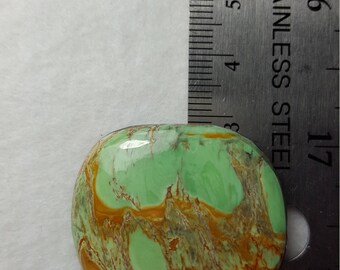 Australian Variscite with vinyl back.