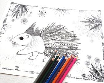 Porcupine - Coloring Page - Colouring Pages - Adult Colouring - Adult Coloring Page - Colouring Book - Adult Coloring Book - Colouring